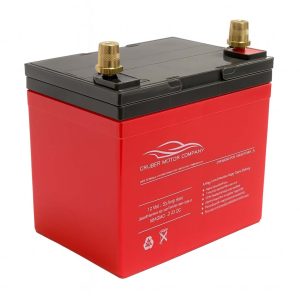 12 Volt Model S Battery