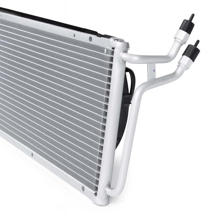 ChatGPT Image Oct 23, 2025, 04_30_32 PM copy