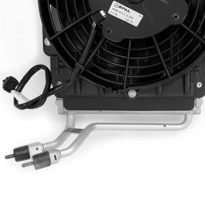 ChatGPT Image Oct 23, 2025, 04_47_34 PM copy