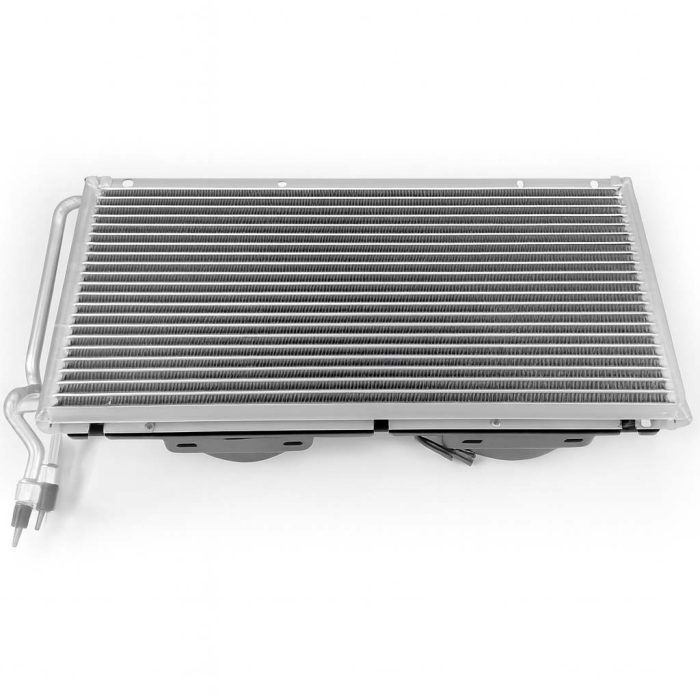 ChatGPT Image Oct 23, 2025, 04_49_39 PM copy