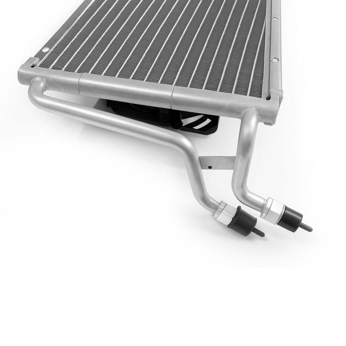 ChatGPT Image Oct 24, 2025, 08_03_06 AM copy