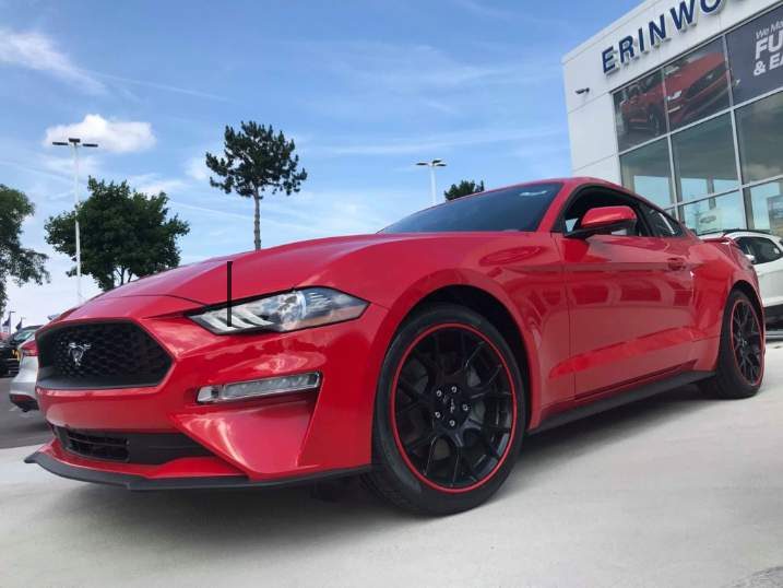 d8c60970a149015317d8e740cf7178bd_0x0-1-watermarked