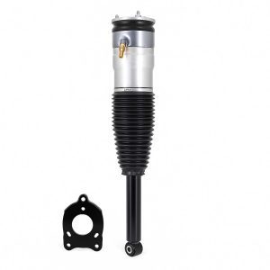 Rear Air Suspension Strut - 2012-2016