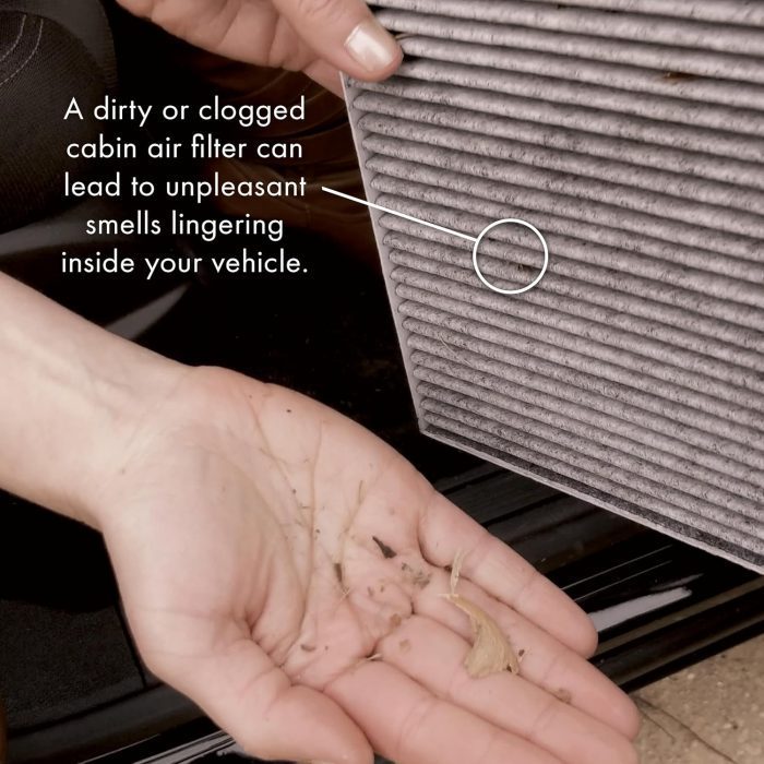 816KinYw9IL._AC_SL1500_