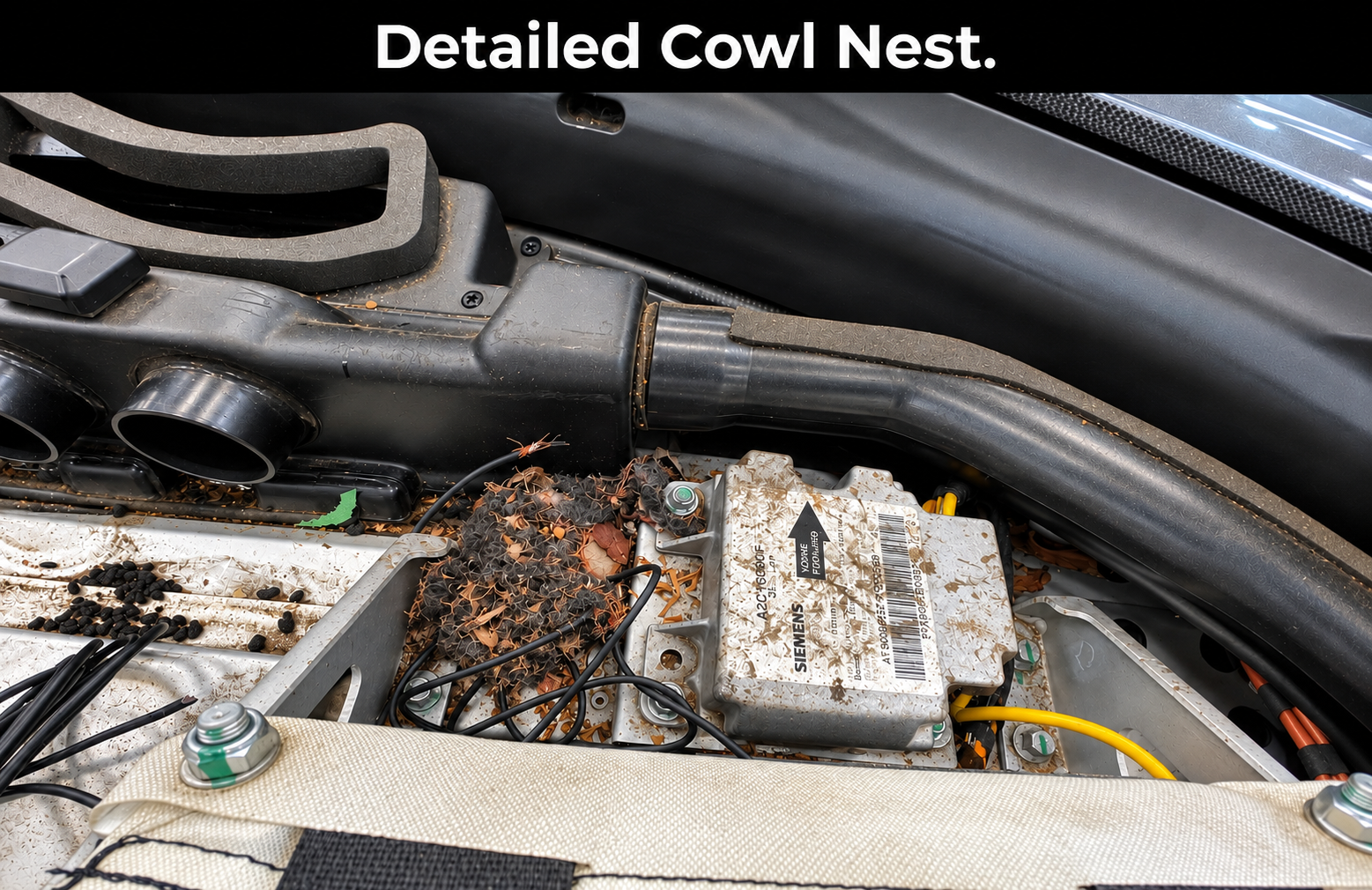 Detailed rodent nest in Tesla Roadster cowl area
